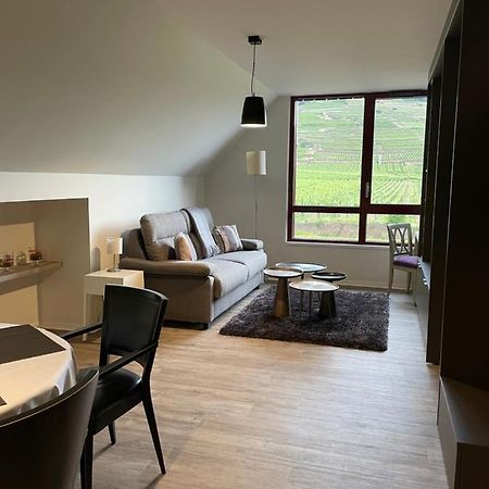 Appartements De Manon Au Coeur Des Vignes Kientzheim Extérieur photo