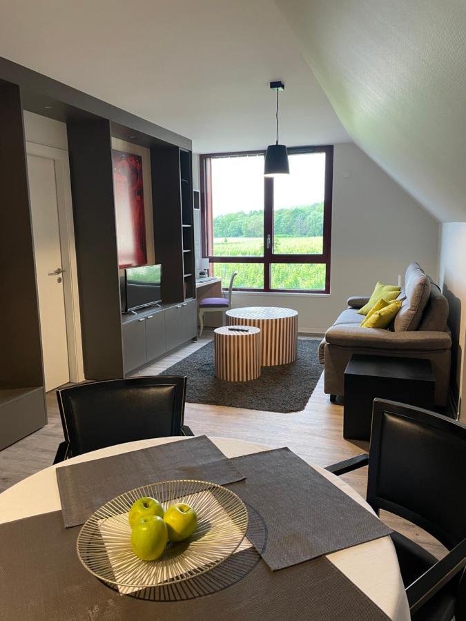 Appartements De Manon Au Coeur Des Vignes Kientzheim Extérieur photo