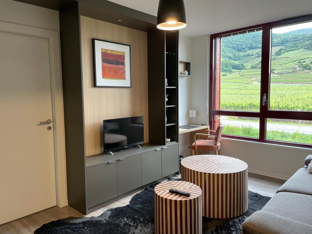 Appartements De Manon Au Coeur Des Vignes Kientzheim Extérieur photo