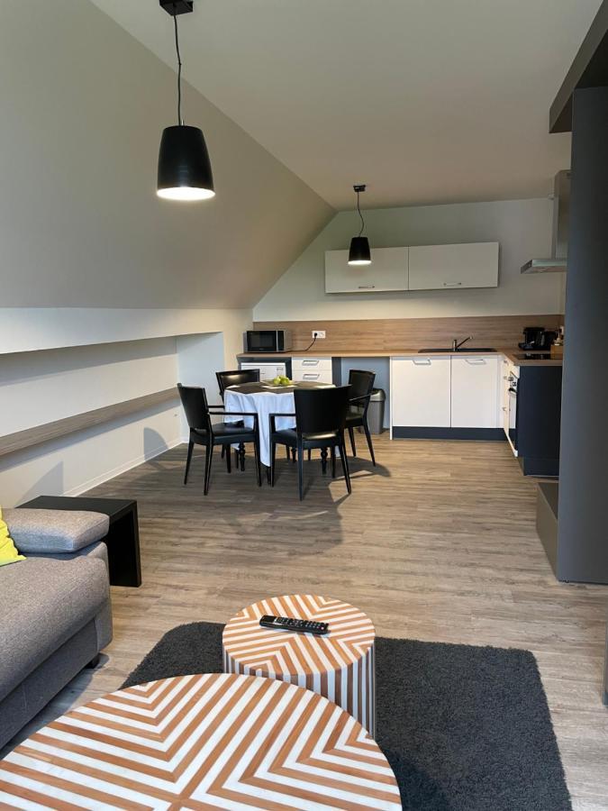 Appartements De Manon Au Coeur Des Vignes Kientzheim Extérieur photo