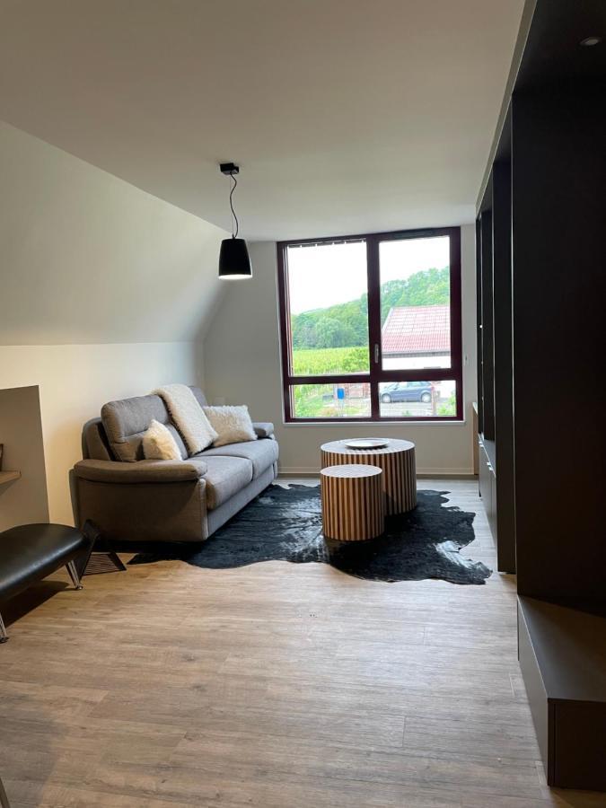 Appartements De Manon Au Coeur Des Vignes Kientzheim Extérieur photo