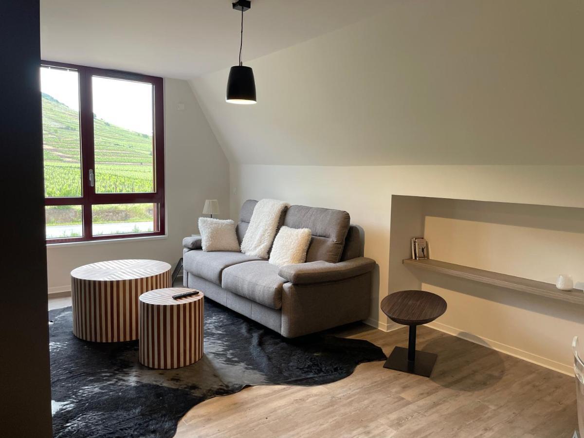 Appartements De Manon Au Coeur Des Vignes Kientzheim Extérieur photo
