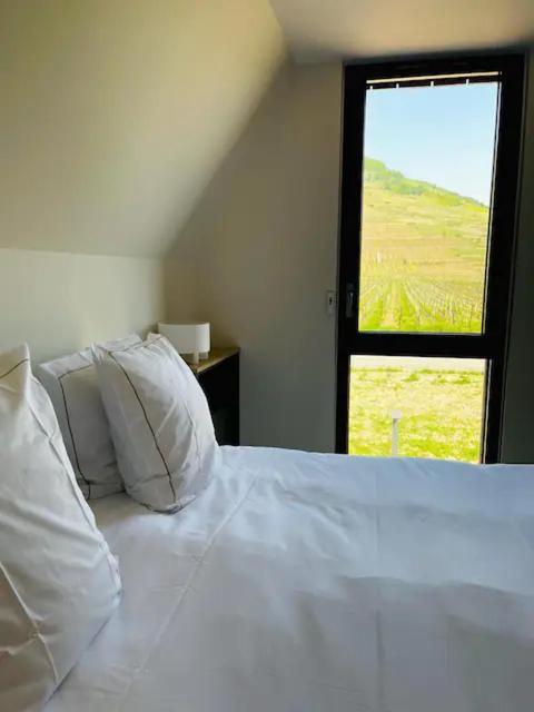 Appartements De Manon Au Coeur Des Vignes Kientzheim Extérieur photo
